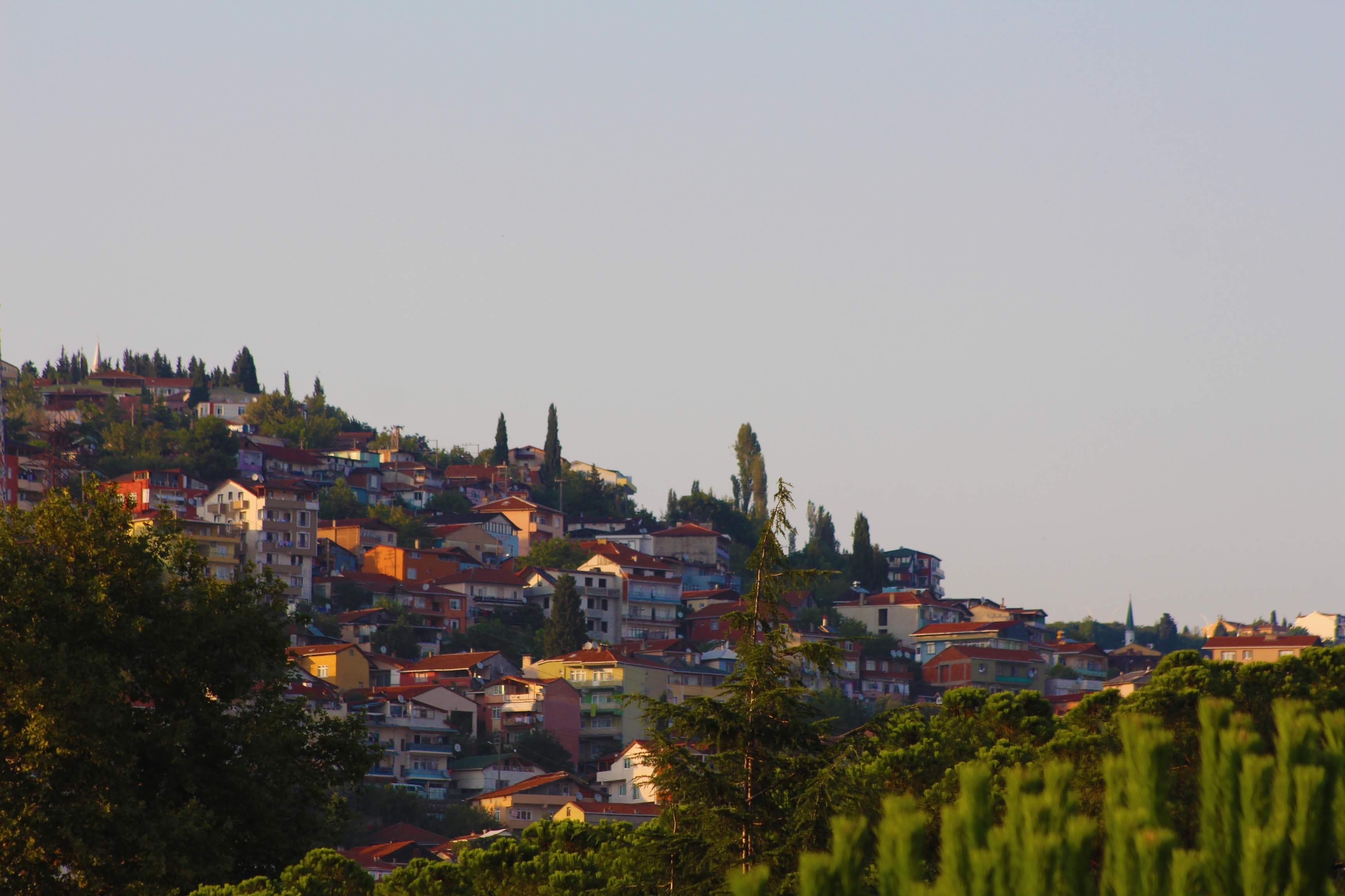 Fotoğraf Koleksiyonum
